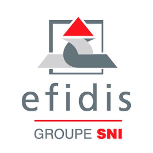 EFIDIS